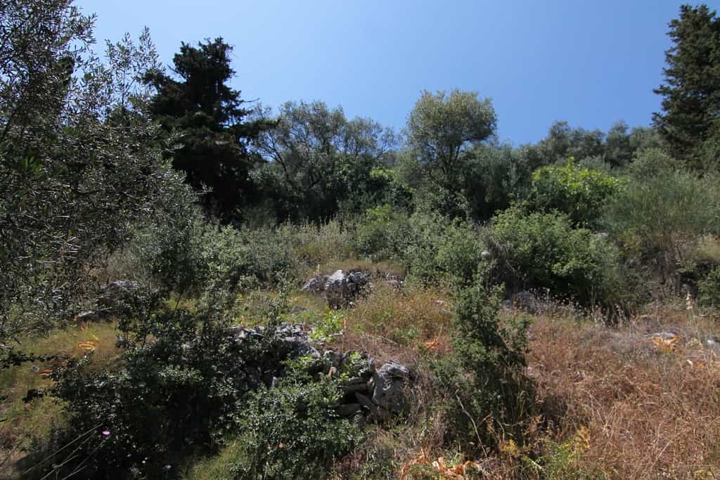 Land in Kassiopi, Ionia Nisia 10804154