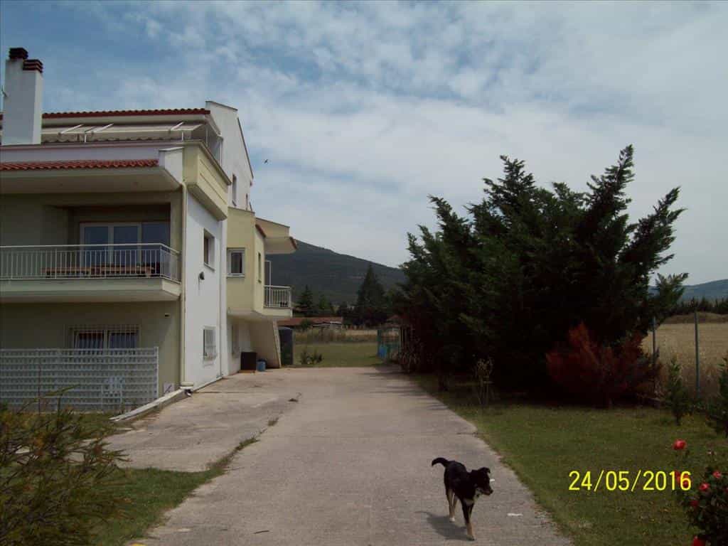 House in Nea Raidestos, Kentriki Makedonia 10804408