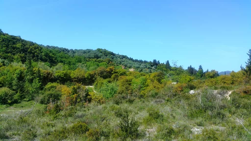 Land i Pelekas, Ionia Nisia 10804451