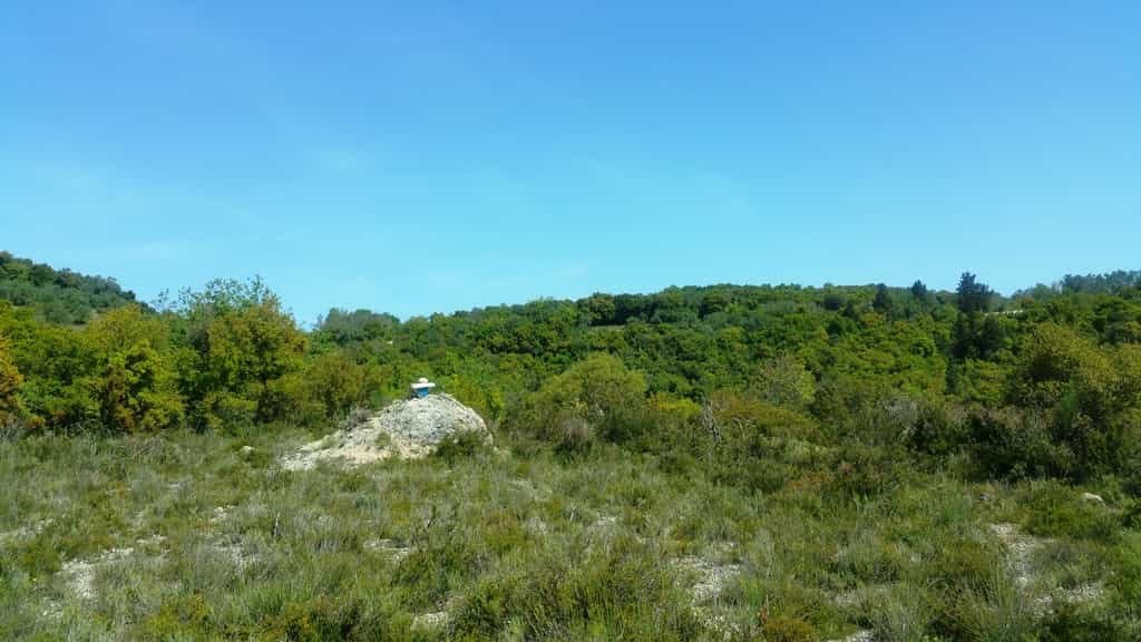 Land in Pelekas, Ionia Nisia 10804451