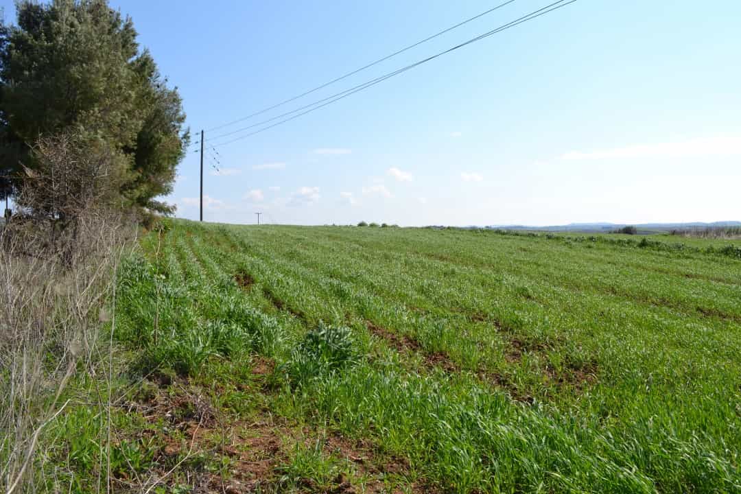 Tanah dalam Nea Poteidaia, Kentriki Makedonia 10804665