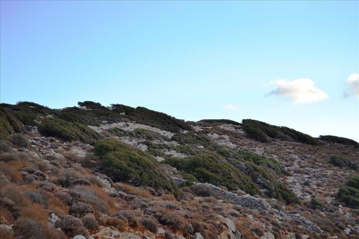Земельные участки в Ацимпрага, Крити 10805408