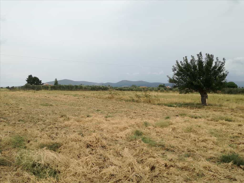 Tanah dalam Metamorfosi, Kentriki Makedonia 10805416