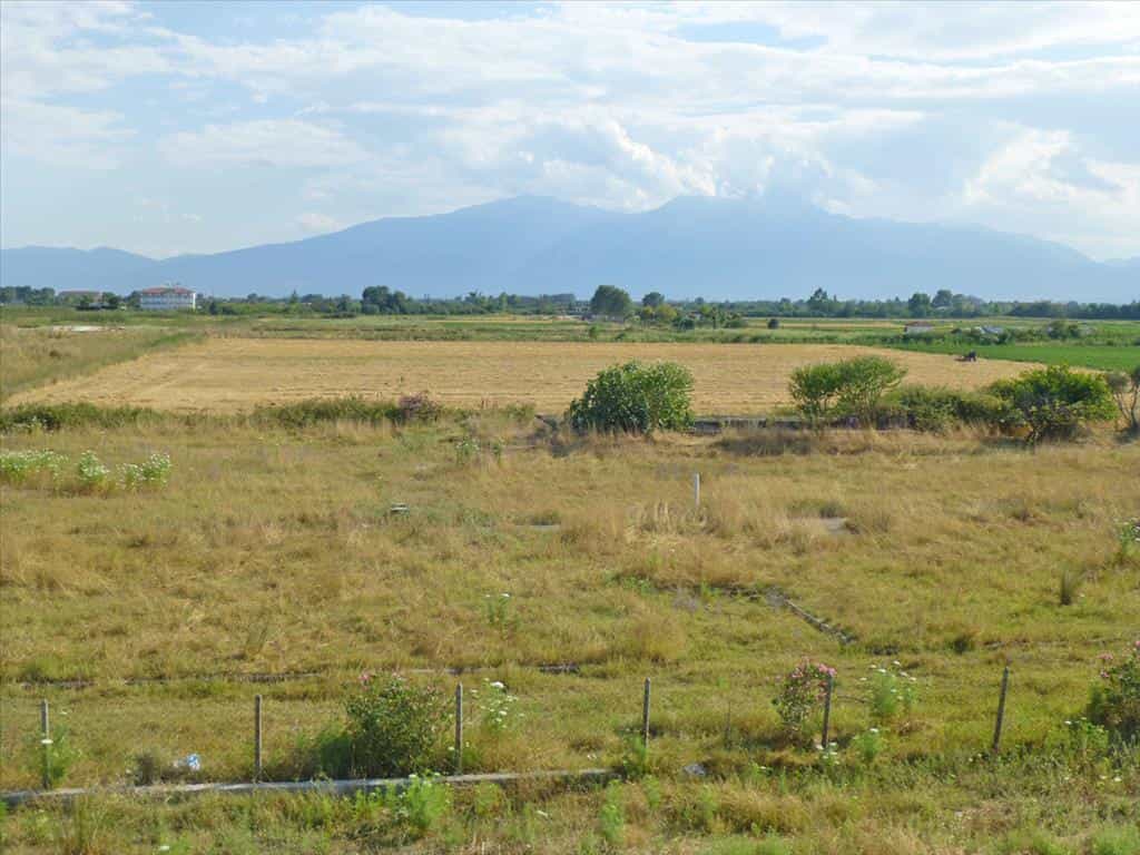 Land i Ganochora, Kentriki Makedonia 10805458
