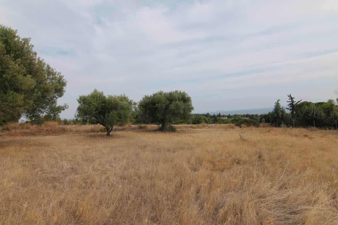 Land in Metamorfosi, Kentriki Makedonia 10805505