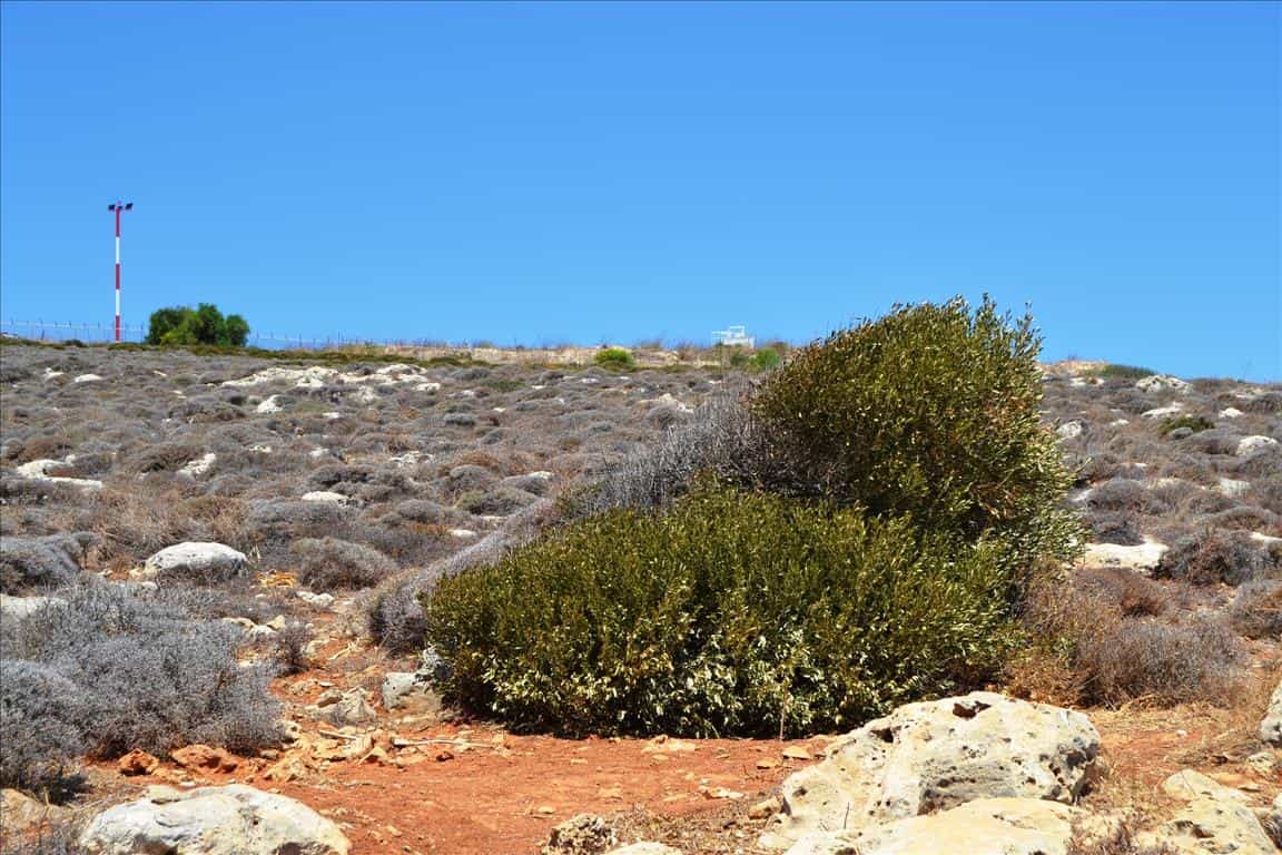 Земельные участки в Петрас, Крити 10805639