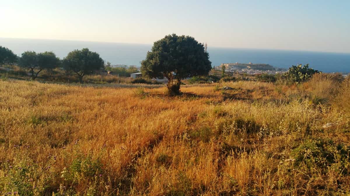 Land in Megalo Metochi,  10806151