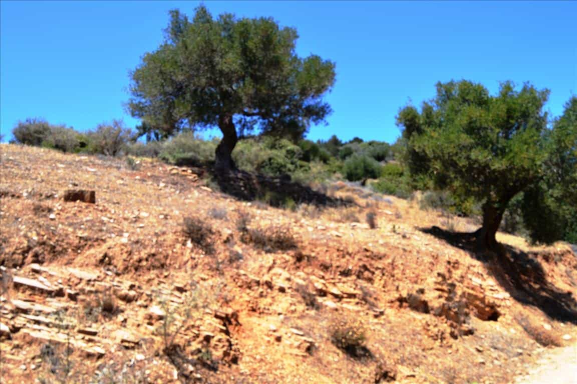 Земля в Хоріровоскос, Криті 10806214