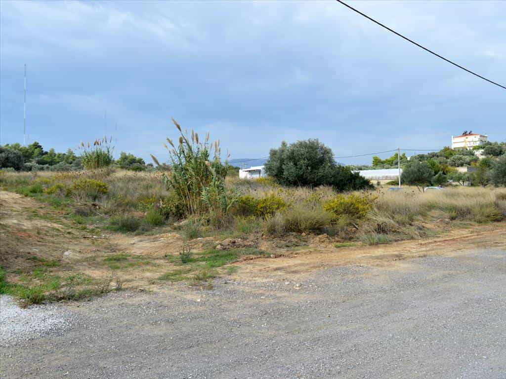 Land in Agios Andreas, Attiki 10807090