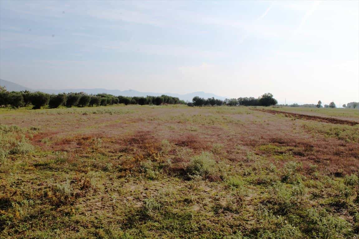 Tanah dalam Nea Raidestos, Kentriki Makedonia 10807201