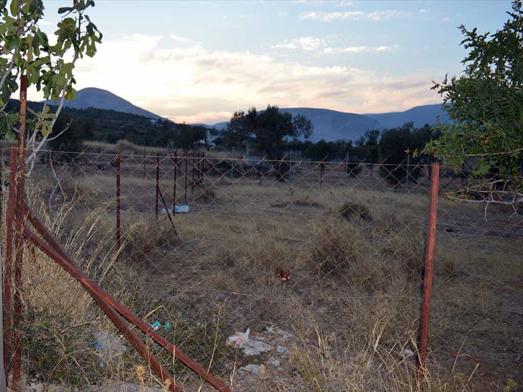 Land in Koropi, Attiki 10807353