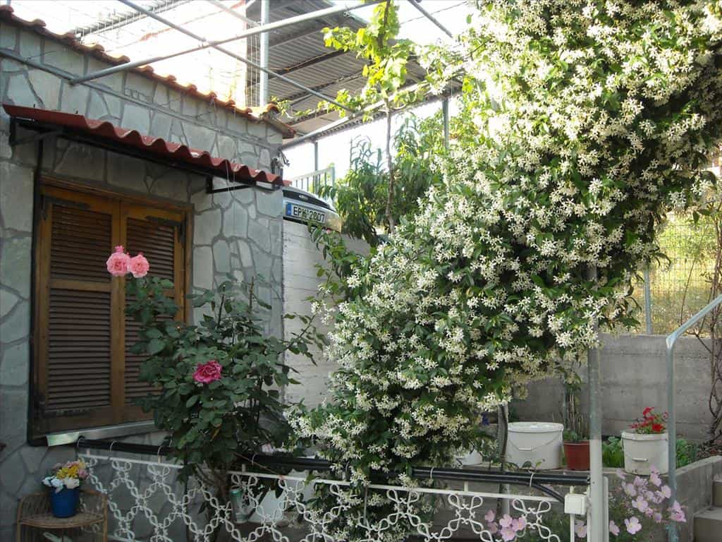 Haus im Kallirachi, Anatoliki Makedonia kai Thraki 10807406