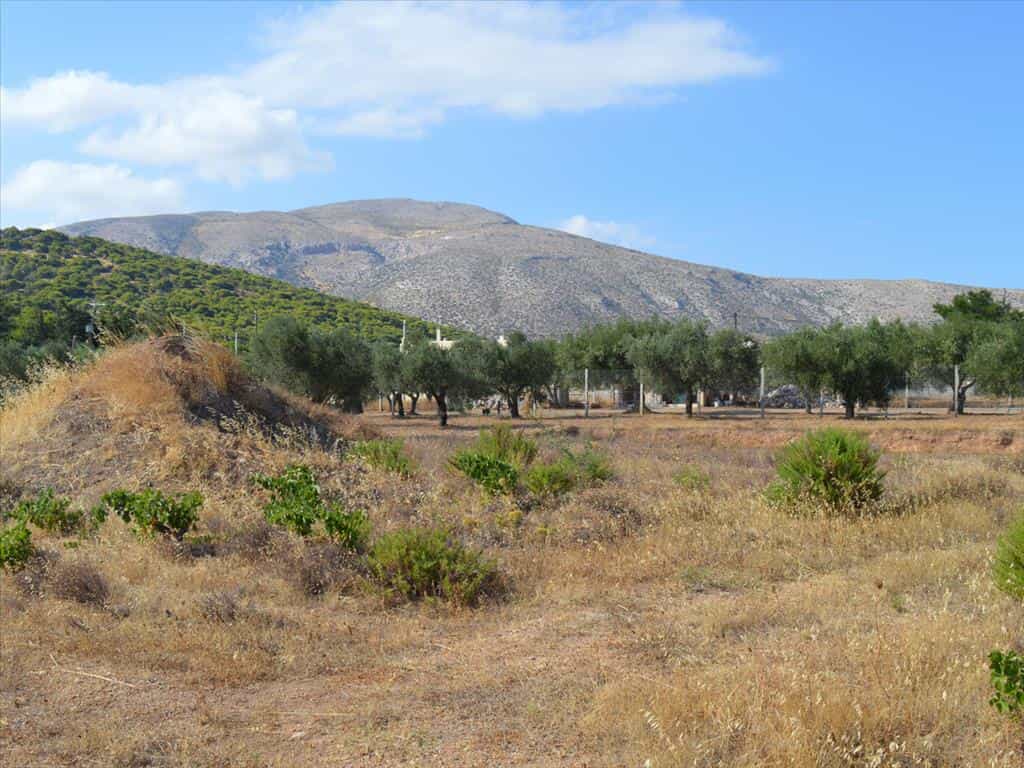 Land in Feriza, Attiki 10807432