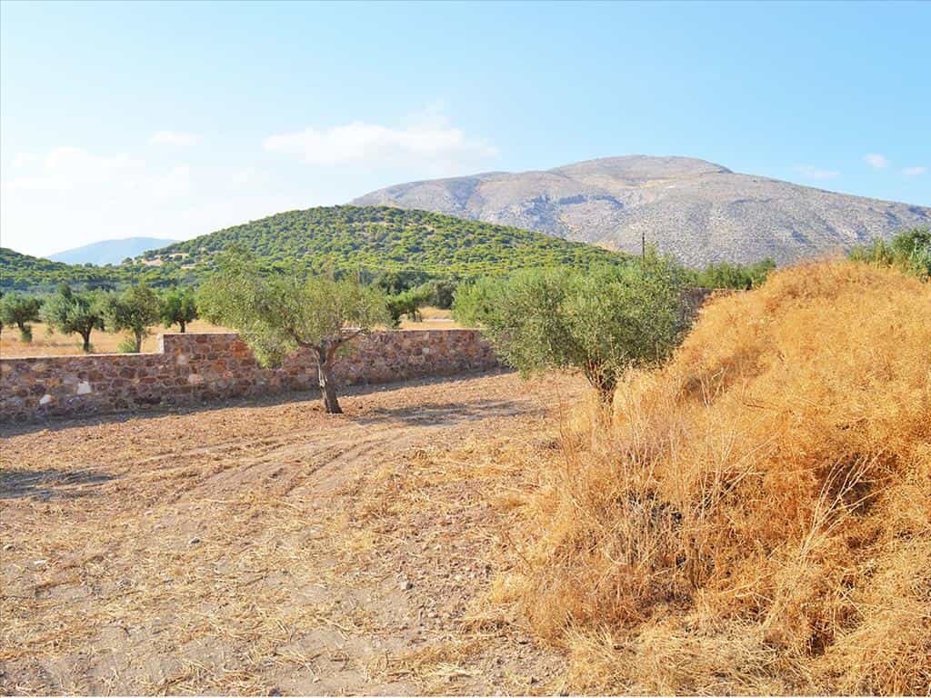Tanah dalam Feriza, Attiki 10807433