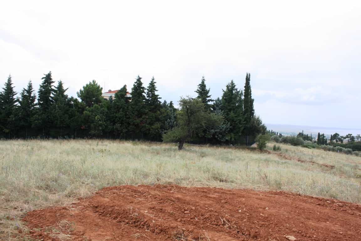 Land in Panorama, Kentriki Makedonia 10807447