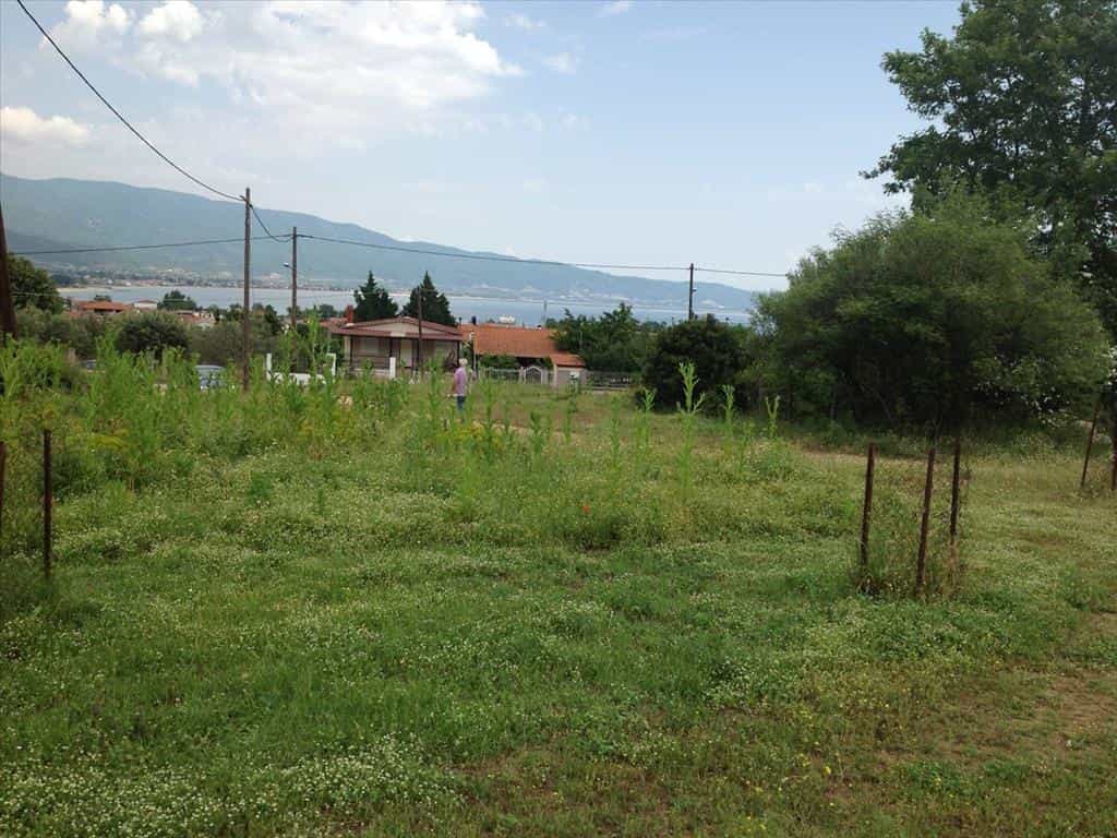 Land in Pitsiota, Sterea Ellada 10807458