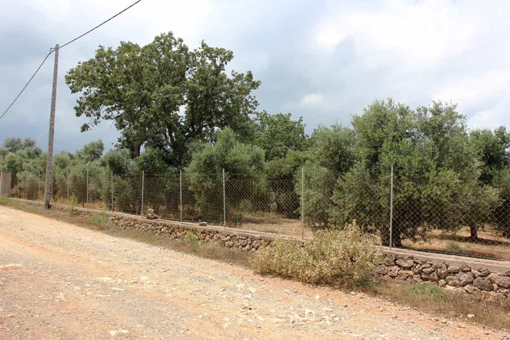 Land in Panorama, Kriti 10807764