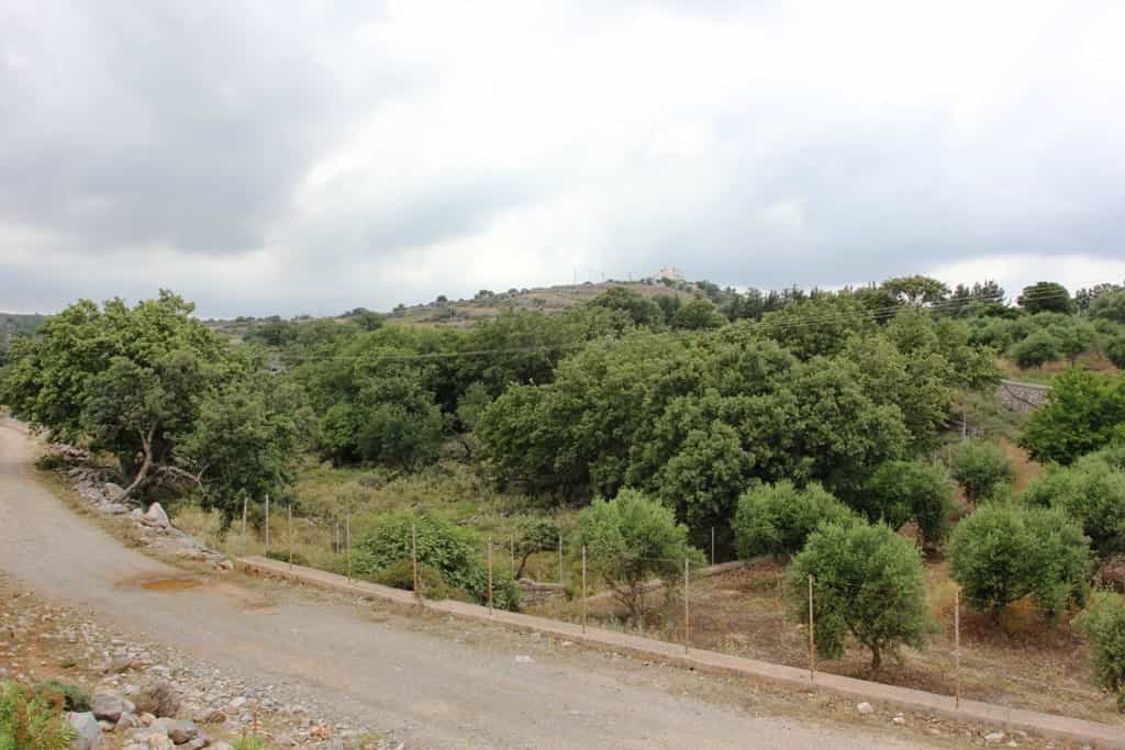 Land in Rethymno, Kriti 10807765
