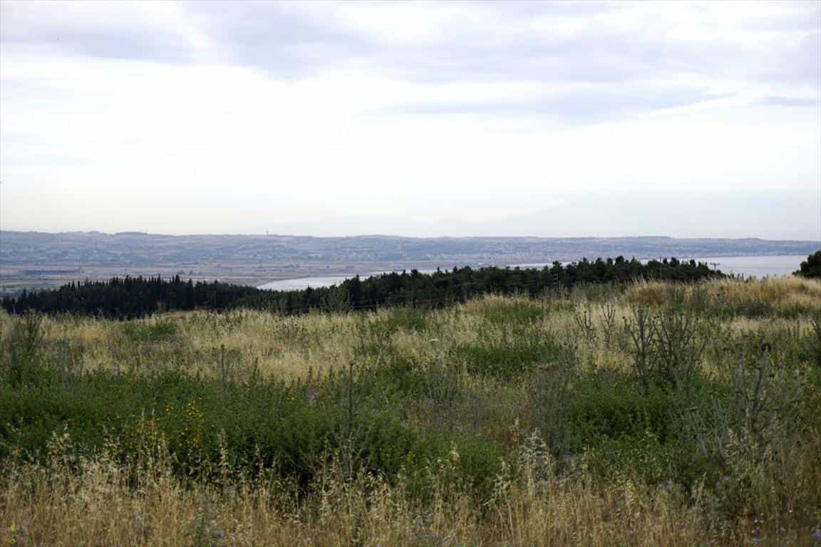 Terra no Panorama, Kentriki Makedonia 10807766