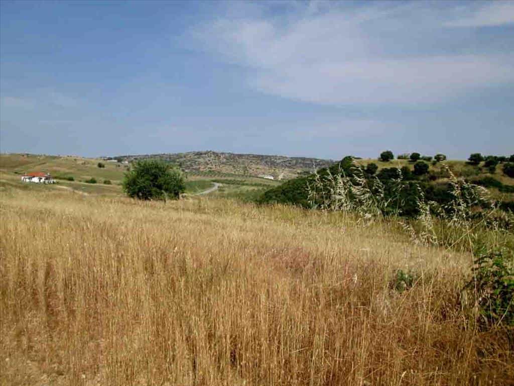 Tanah di Nikiti, Kentriki Makedonia 10807816