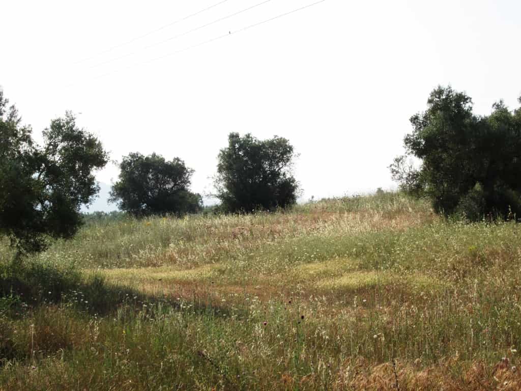 Land in Metamorfosi, Kentriki Makedonia 10807888