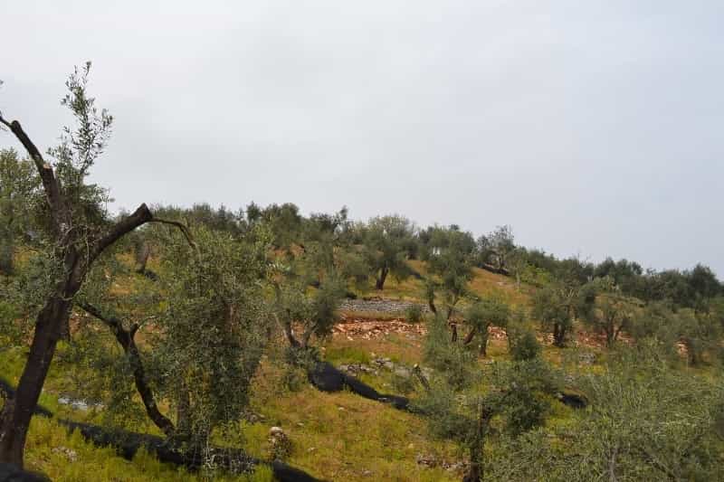 Land in Acharavi, Ionia Nisia 10808104