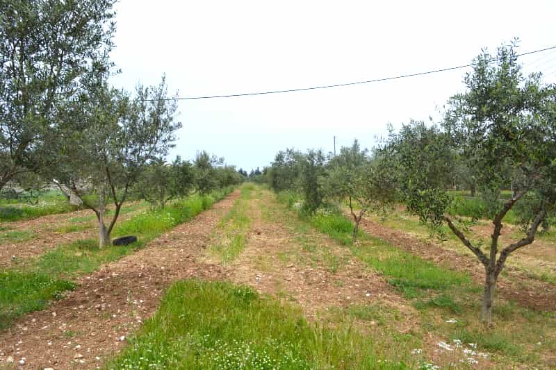 Land in Acharavi, Ionia Nisia 10808105