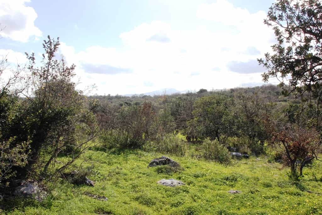 Land in Panorama, Kriti 10808405