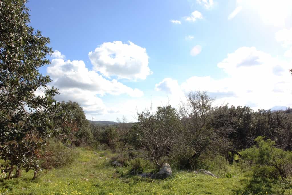 Land in Panorama, Kriti 10808405