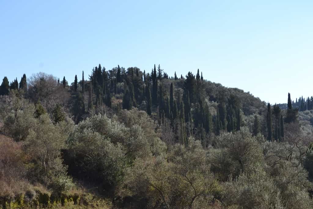 Land in Sidari, Ionia Nisia 10808408