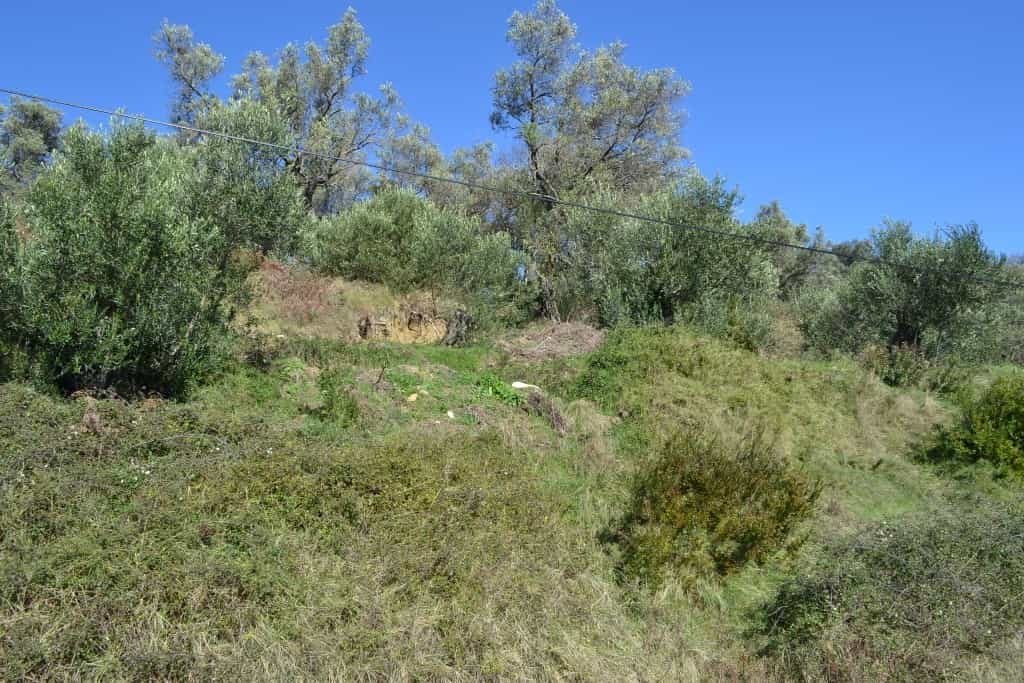 Tanah dalam Achilleio, Ionia Nisia 10808439