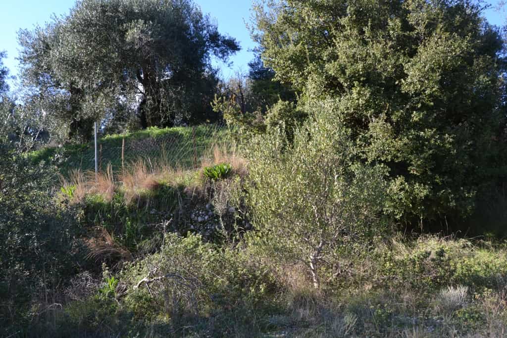 Tanah dalam Korakades, Ionia Nisia 10808659