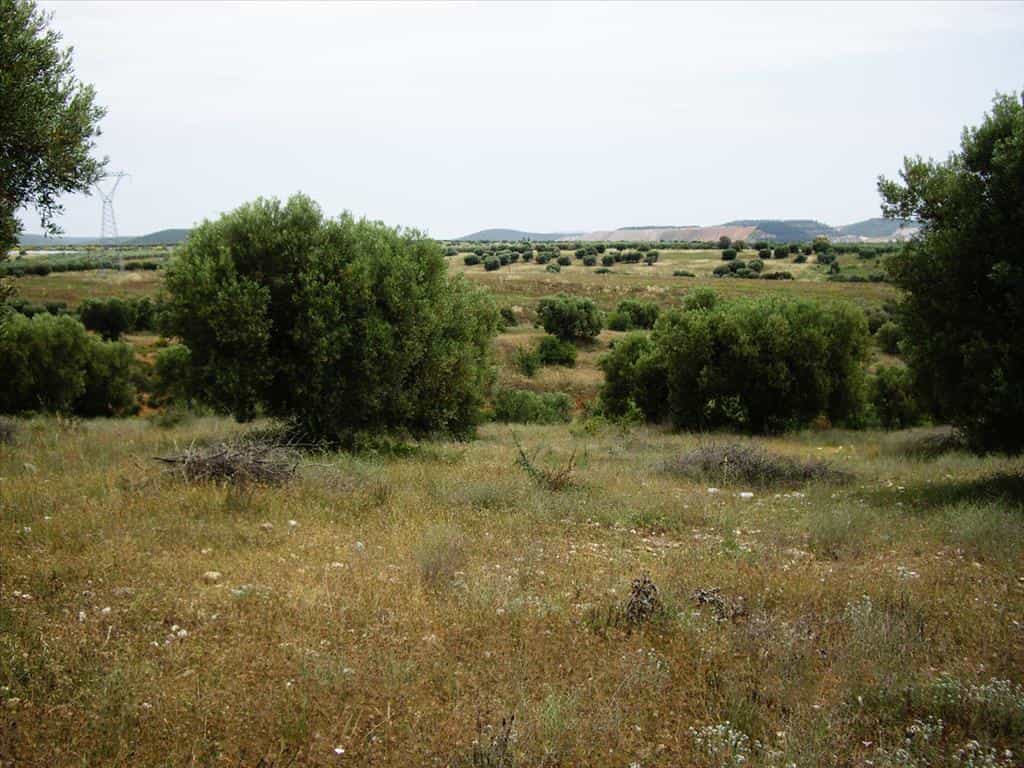Tanah dalam Polygyros, Kentriki Makedonia 10808744