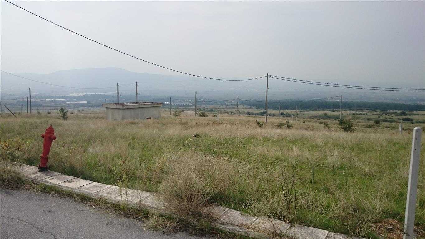 土地 在 梅尔西努达, 肯特里基马其顿 10808760