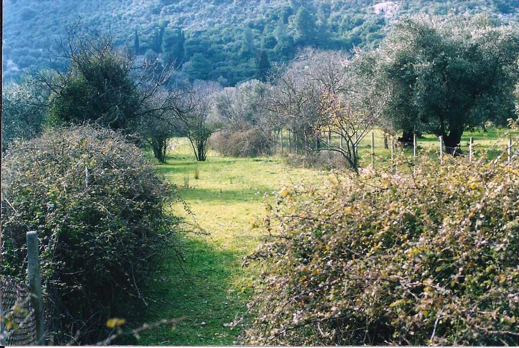 Land im Skopelos, Thessalia 10808786