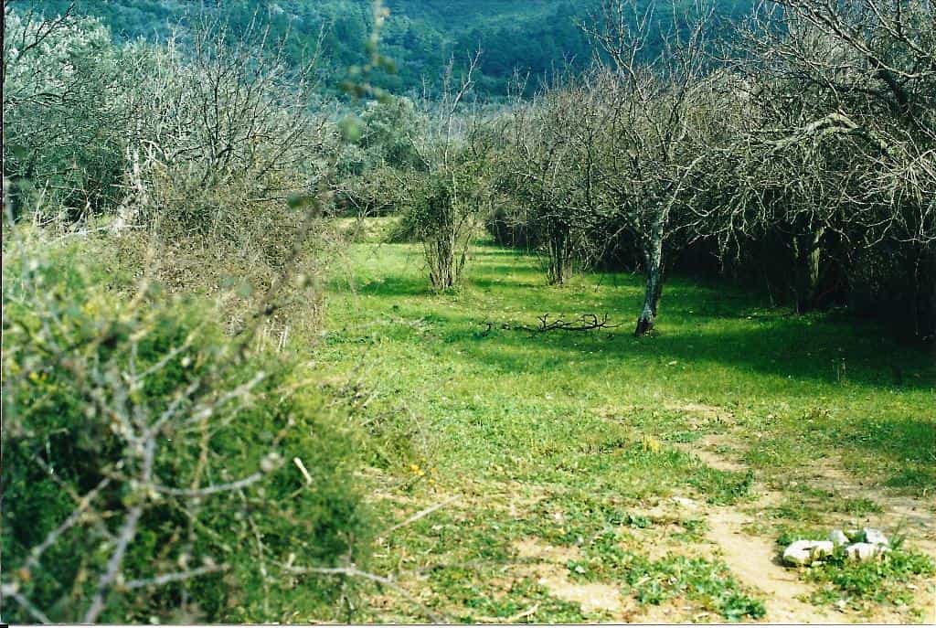 Tanah dalam Skopelos, Thessalia 10808786