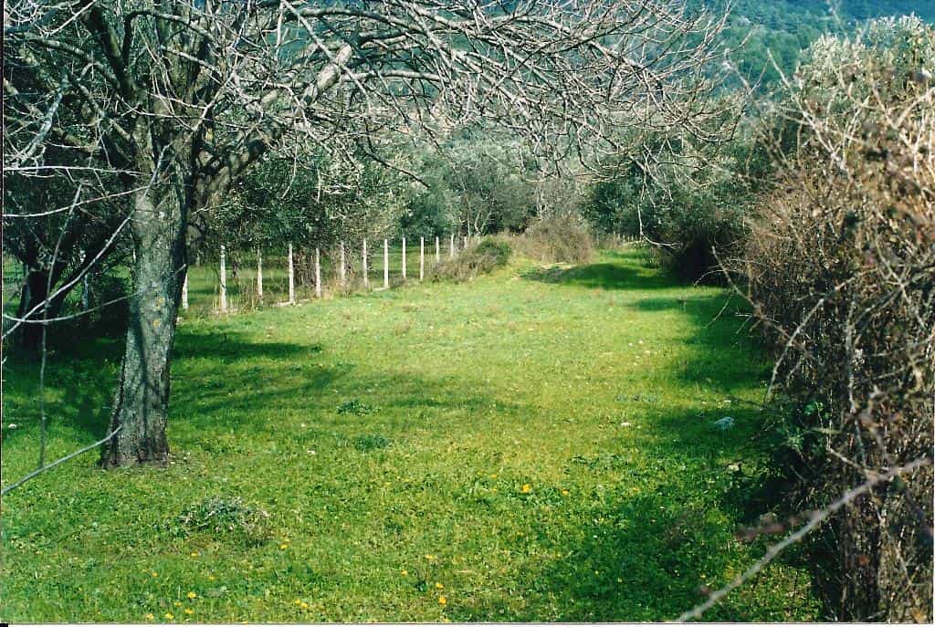 Land in Skopelos, Thessalia 10808786