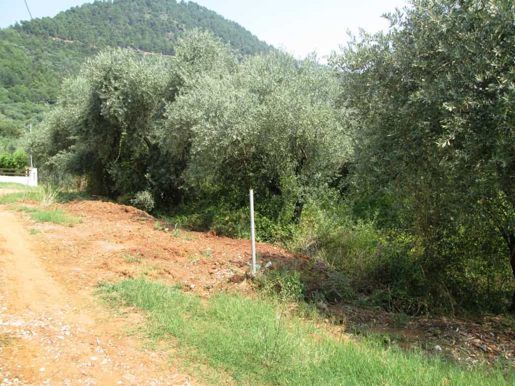 Tanah dalam Potamia, Anatoliki Makedonia kai Thraki 10808963