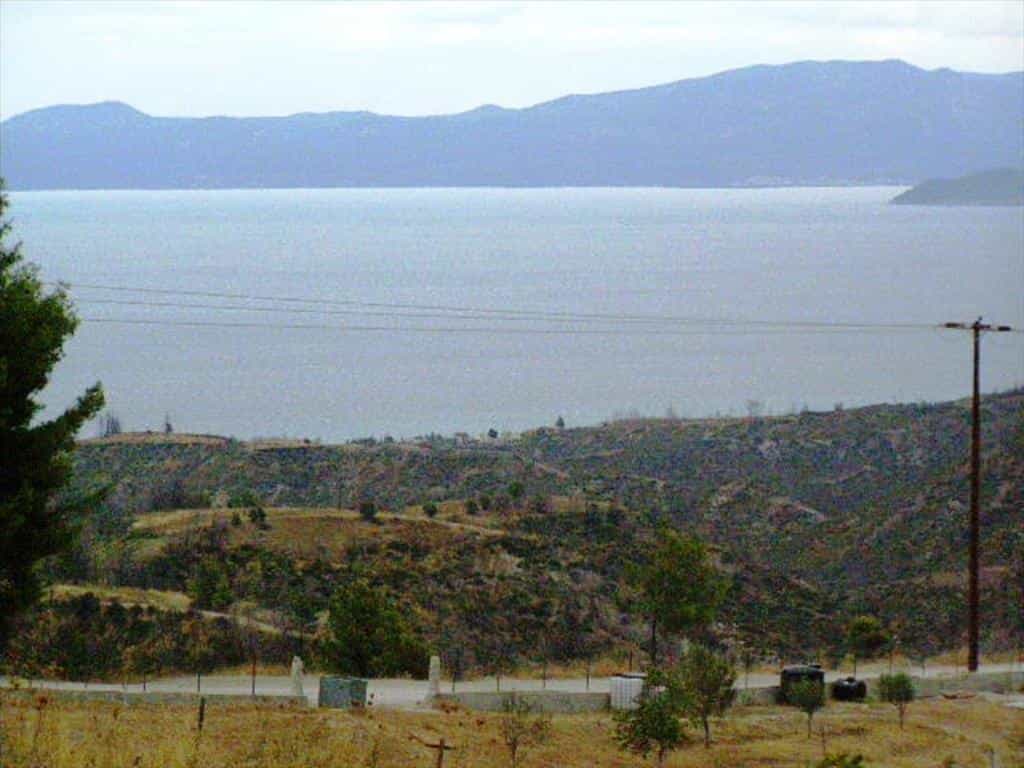 Land in Kassandreia, Kentriki Makedonia 10809071