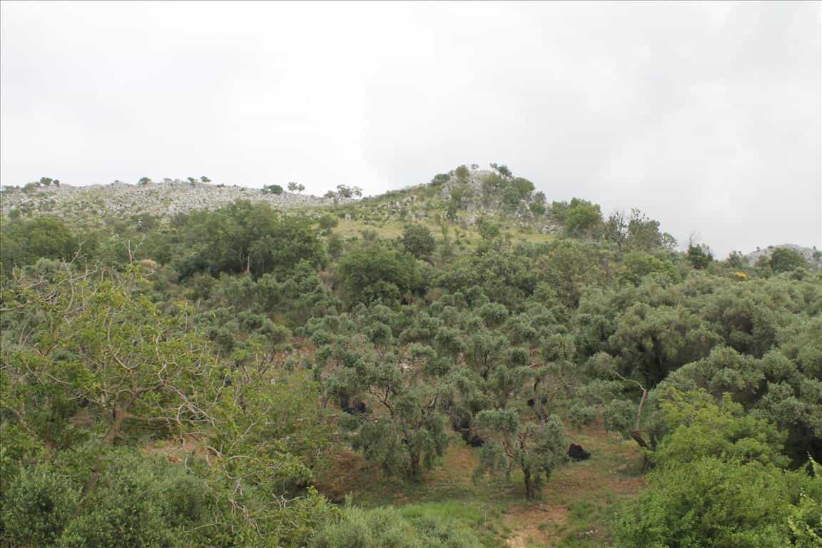 Land in Acharavi, Ionia Nisia 10809248