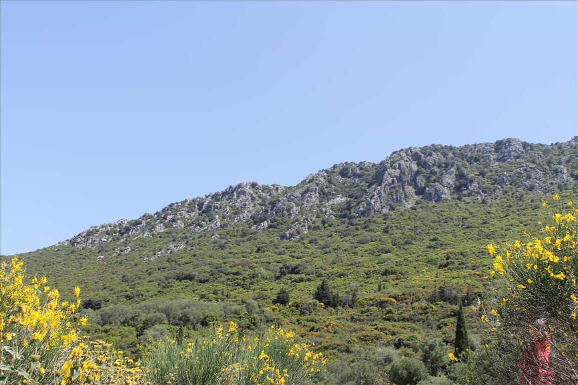 Tierra en Agios Marcos, Jonia Nisia 10809314