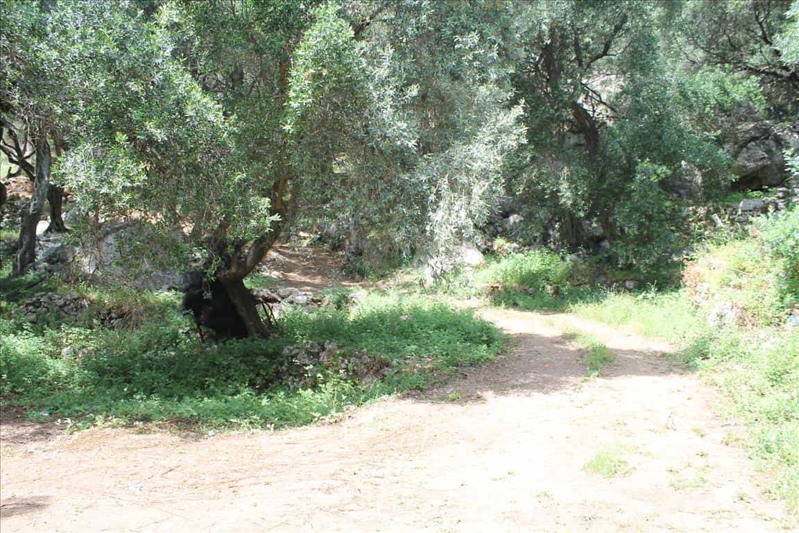 Tanah dalam Achilleio, Ionia Nisia 10809321