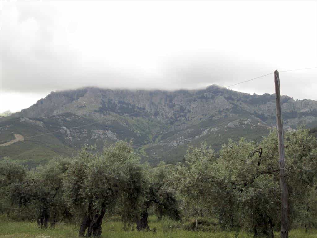Terre dans Thasos, Anatoliki Makedonia kai Thraki 10809419