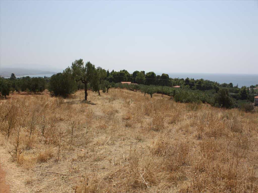 Tanah dalam Nikiti, Kentriki Makedonia 10809430