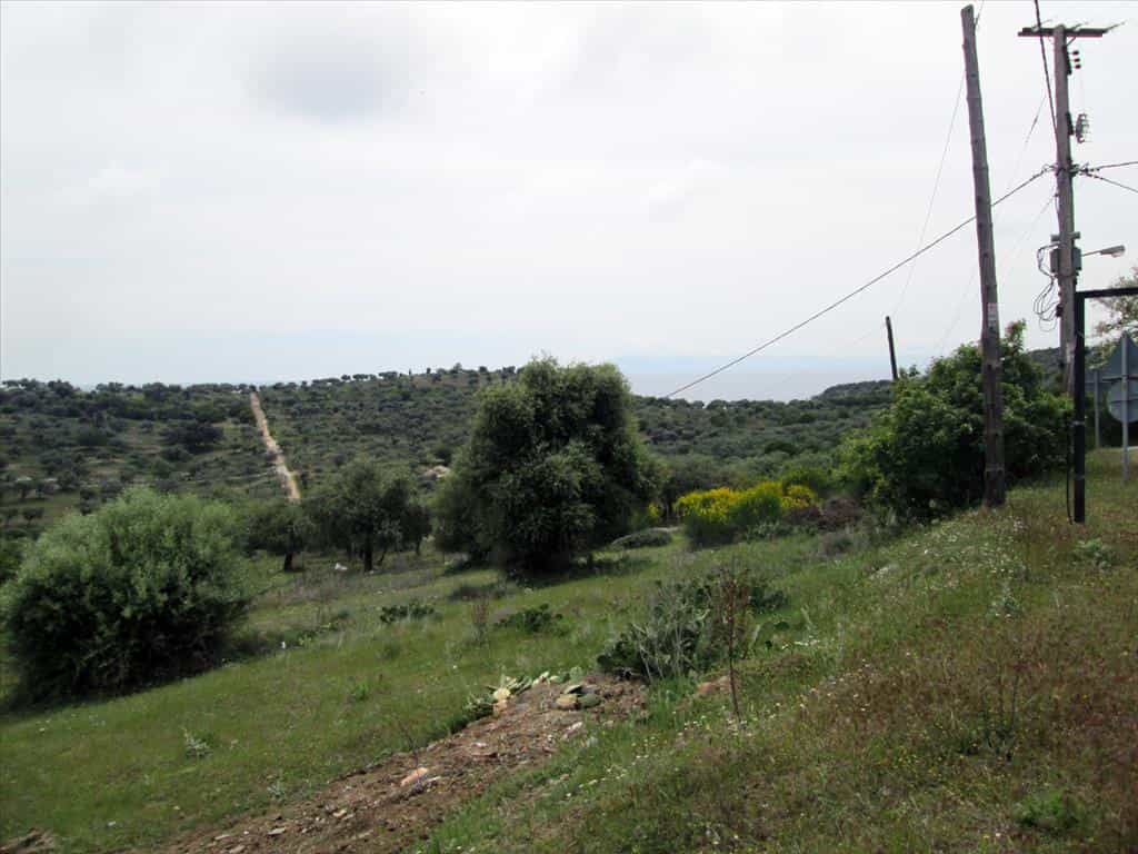 土地 在 神奥洛戈斯, 安纳托利基马其顿凯斯拉基 10809524