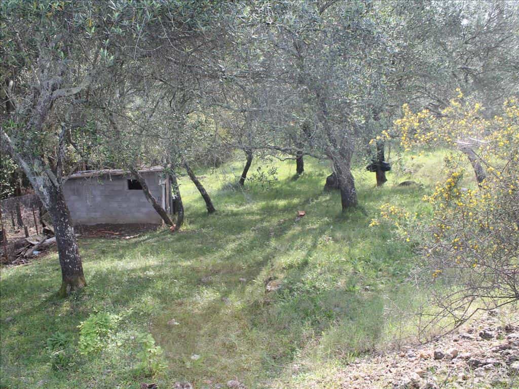 Tanah dalam Achilleio, Ionia Nisia 10809530
