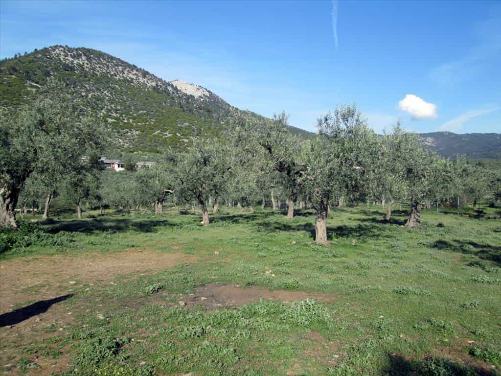 Terre dans Thasos, Anatoliki Makedonia kai Thraki 10809603