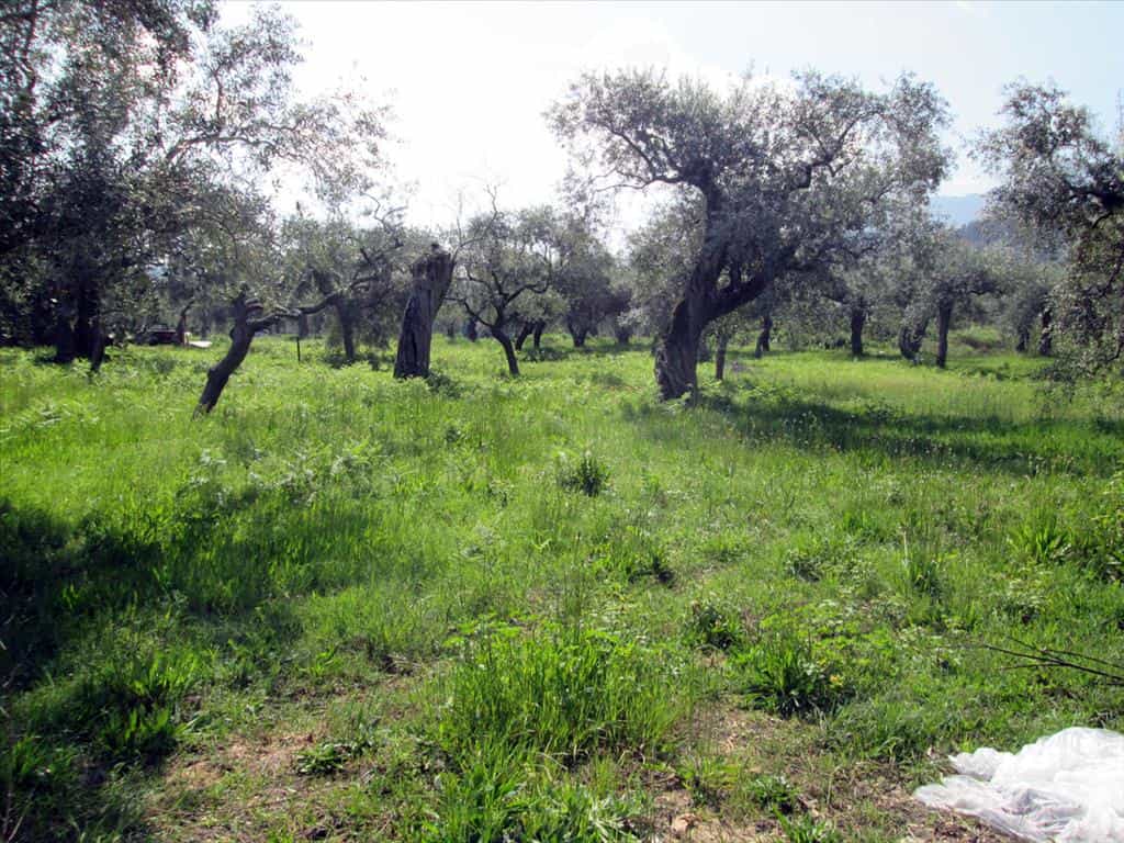 Tanah dalam Thasos, Anatoliki Makedonia kai Thraki 10809608