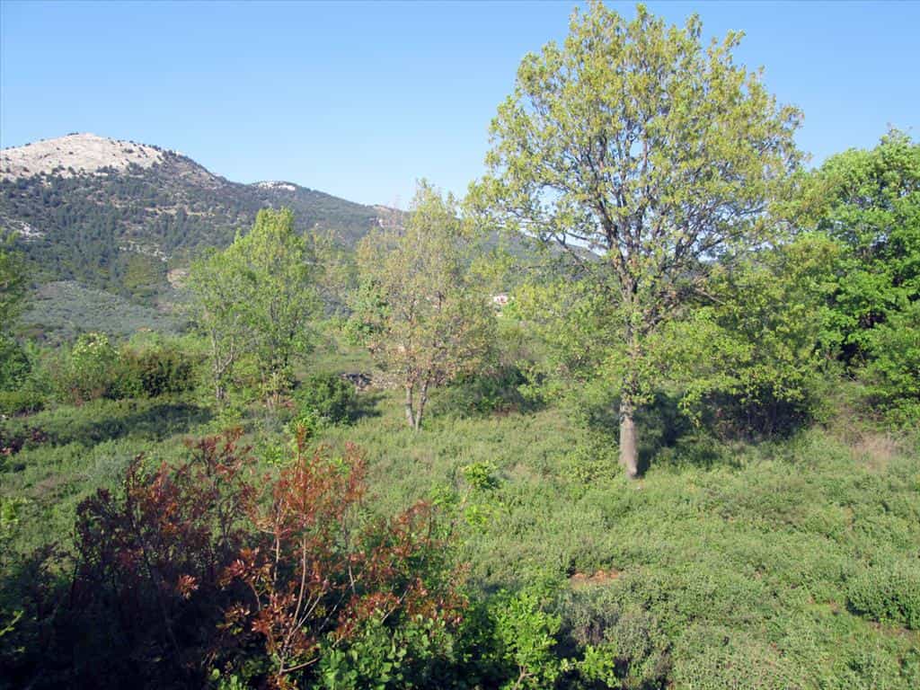 Tanah dalam Thasos, Anatoliki Makedonia kai Thraki 10809609