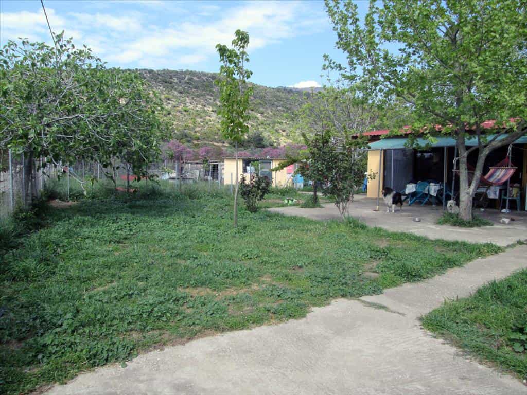 Casa nel Kallirachi, Anatoliki Makedonia kai Thraki 10809612